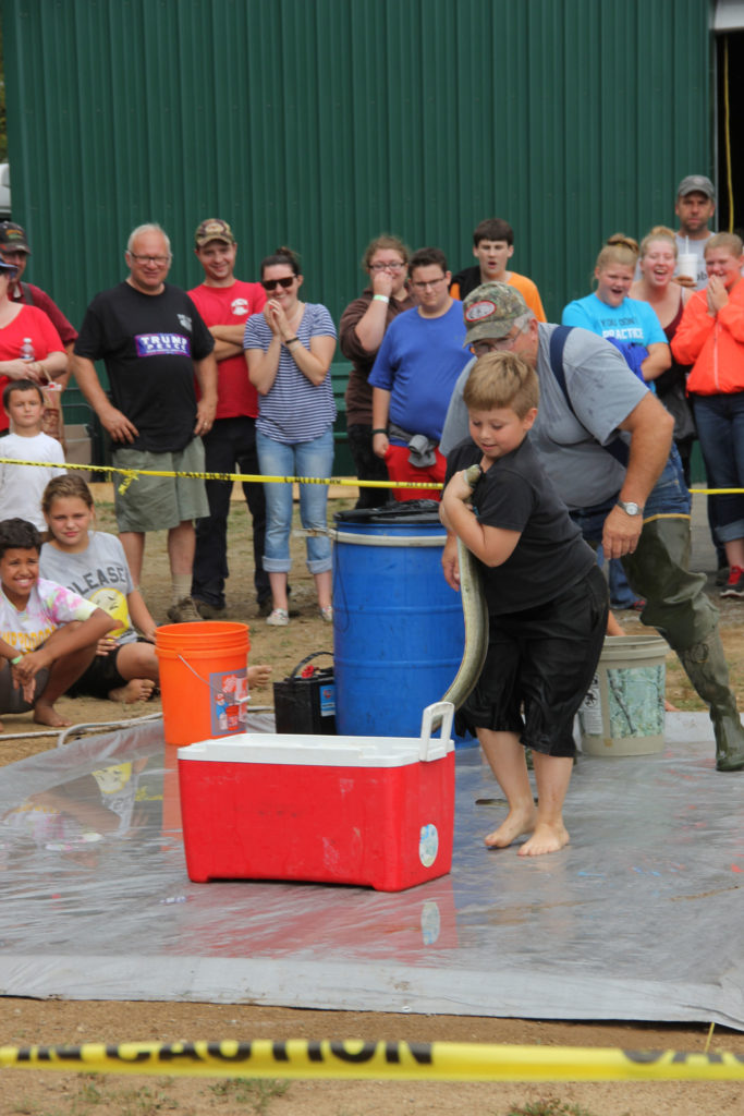 Eel racing