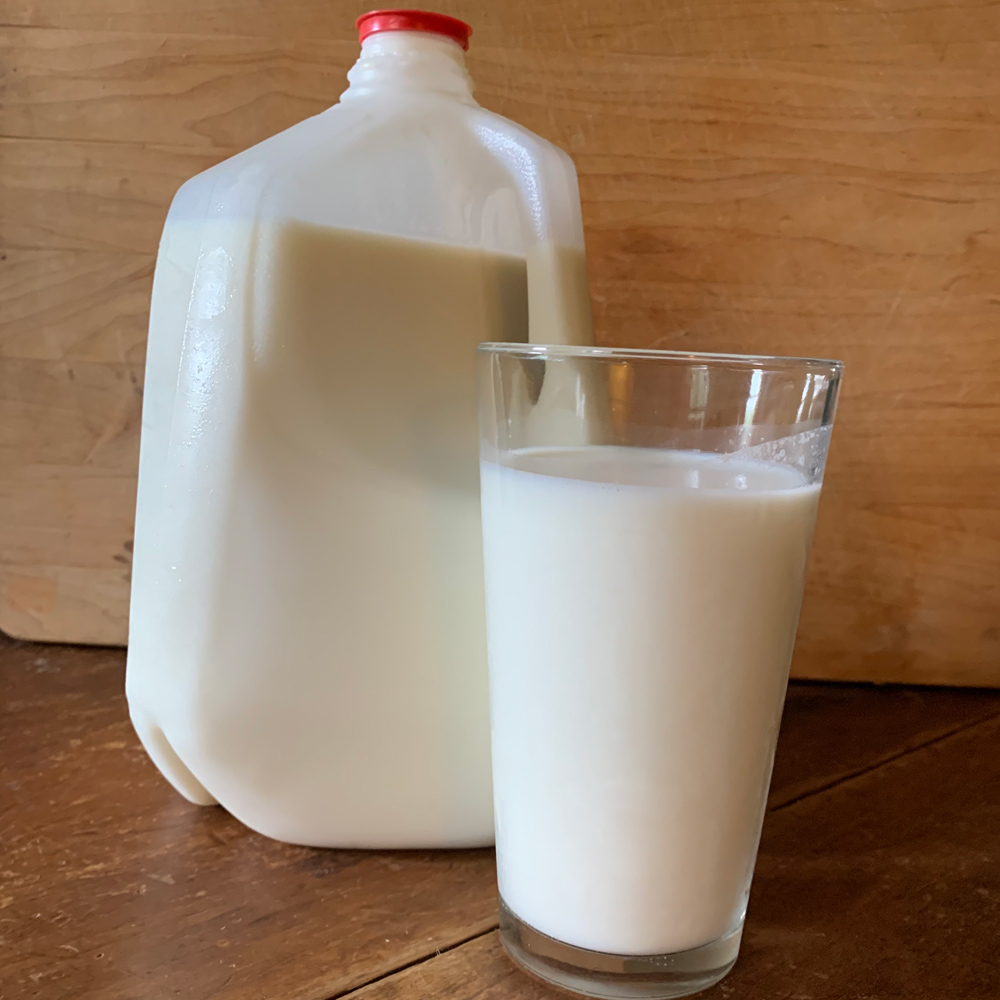A glass of milk set in front of a gallon of milk