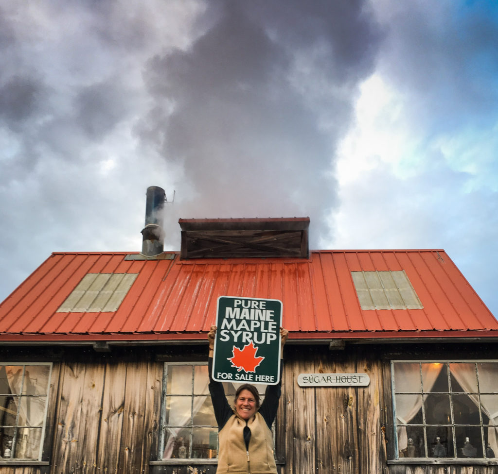 Maine Maple Sunday is annual event hosted by sugarmakers to share their passion for producing pure Maine maple syrup. Sugarhouses are busy places once the sap flow begins, with steam evaporating and exiting the sugarhouse as syrup reaches the correct sugar content.