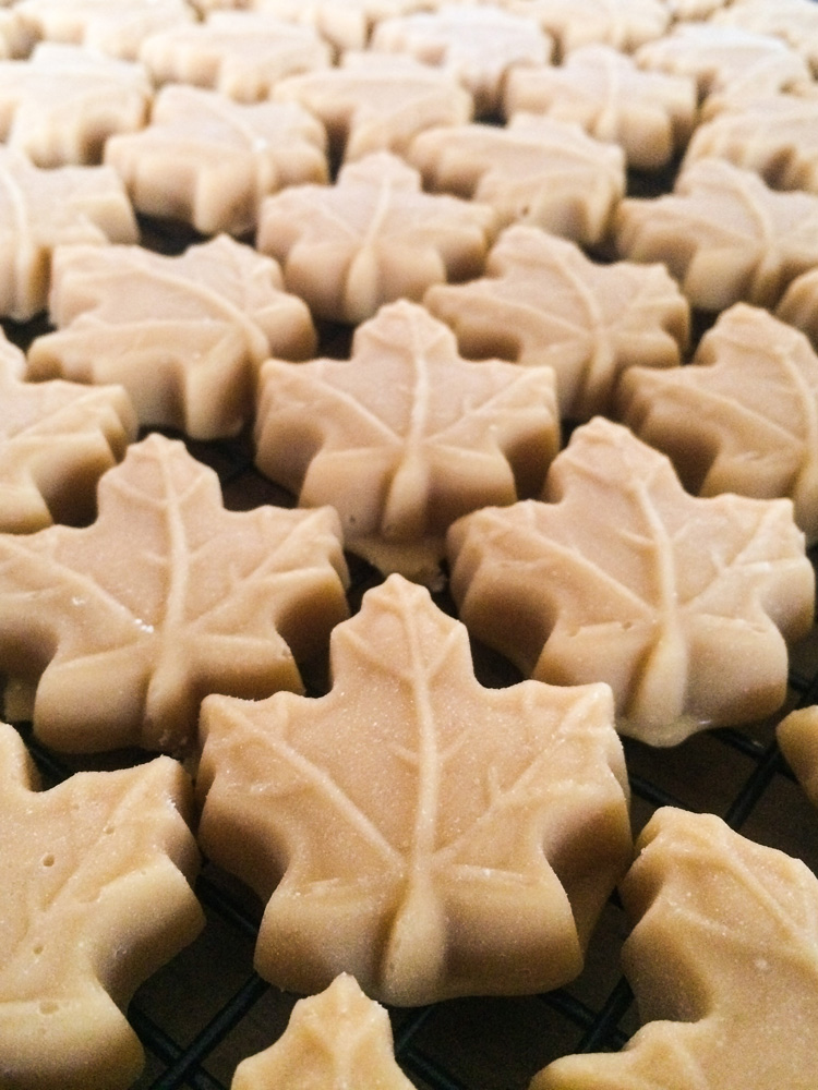 Maple sugar candies