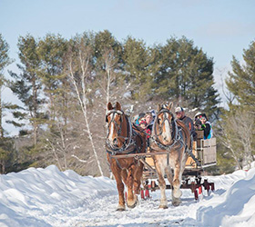 Maine Agritourism