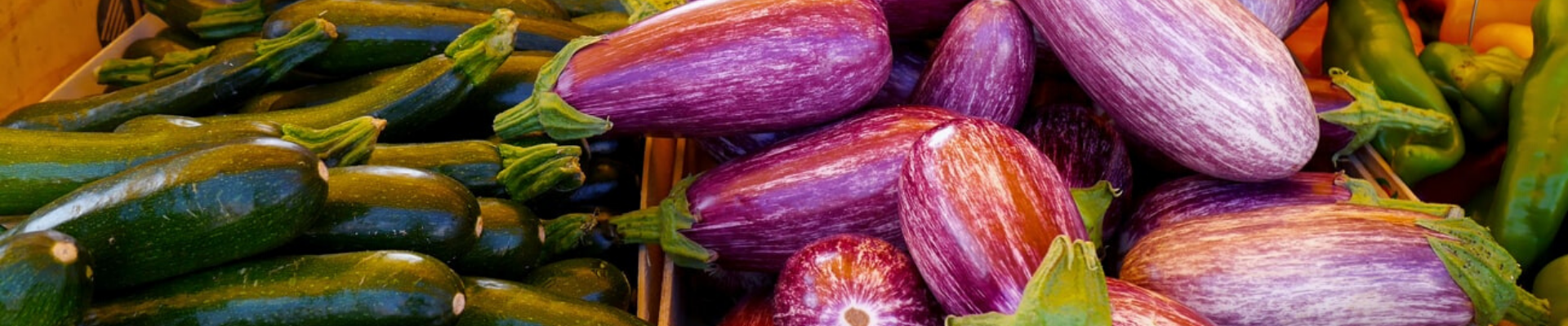 Ratatouille Gratin with Fresh Produce - Real Maine