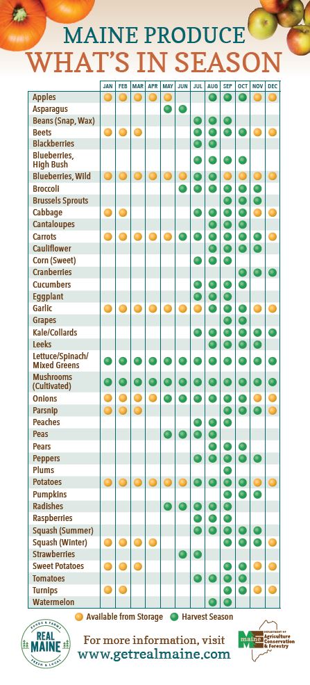 A chart showing what Maine produce is in season now.