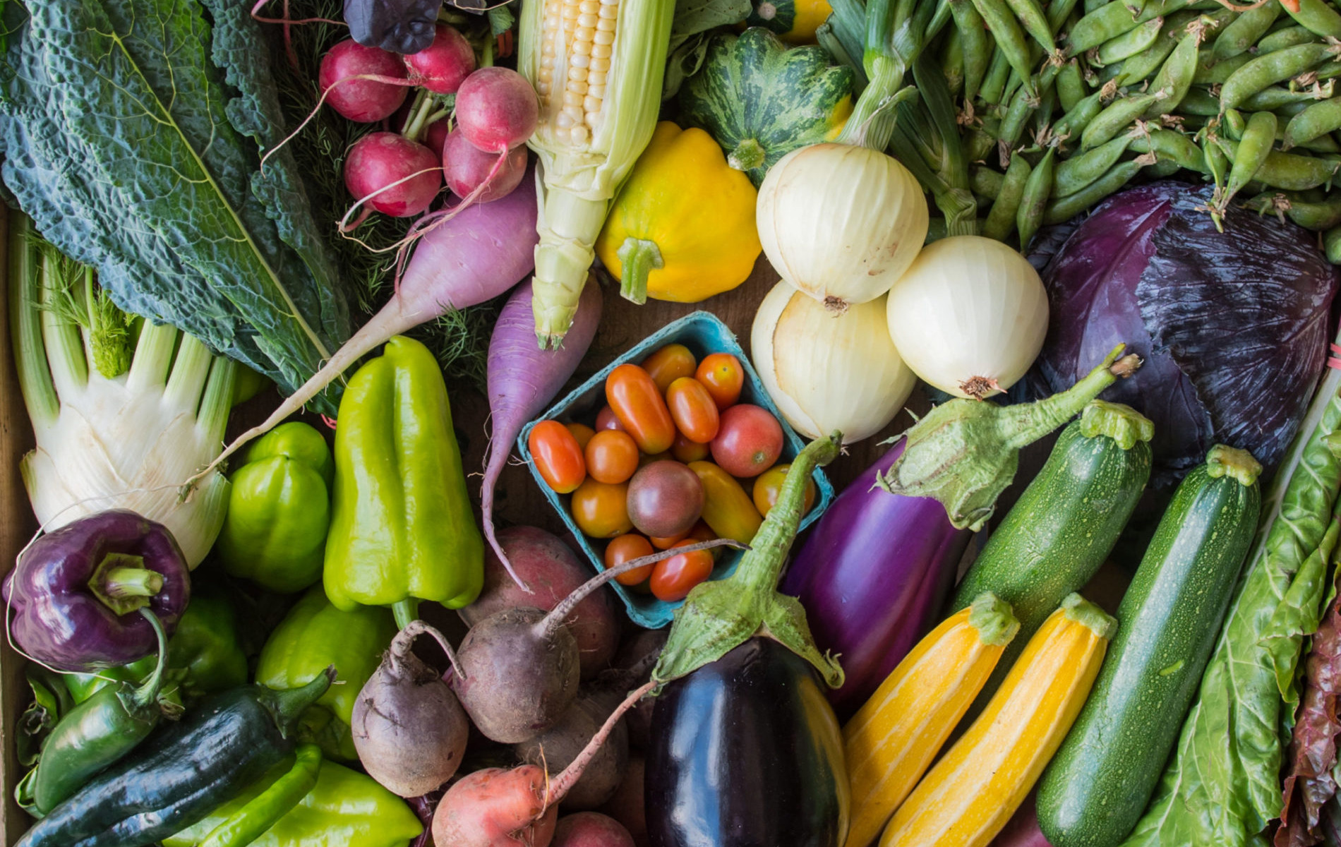 A colorful selection of freshly picked vegetables from Maine