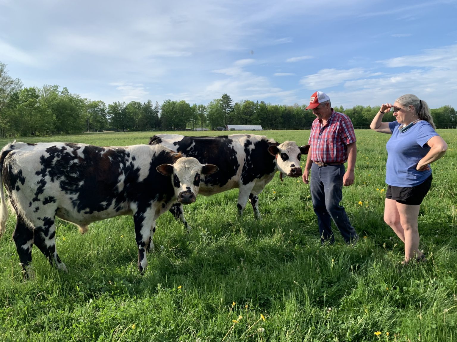 Choose Real Maine Dairy Products Real Maine