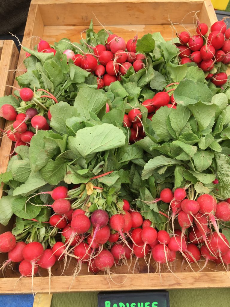 Radishes are a popular farmers' market treat in early summer.