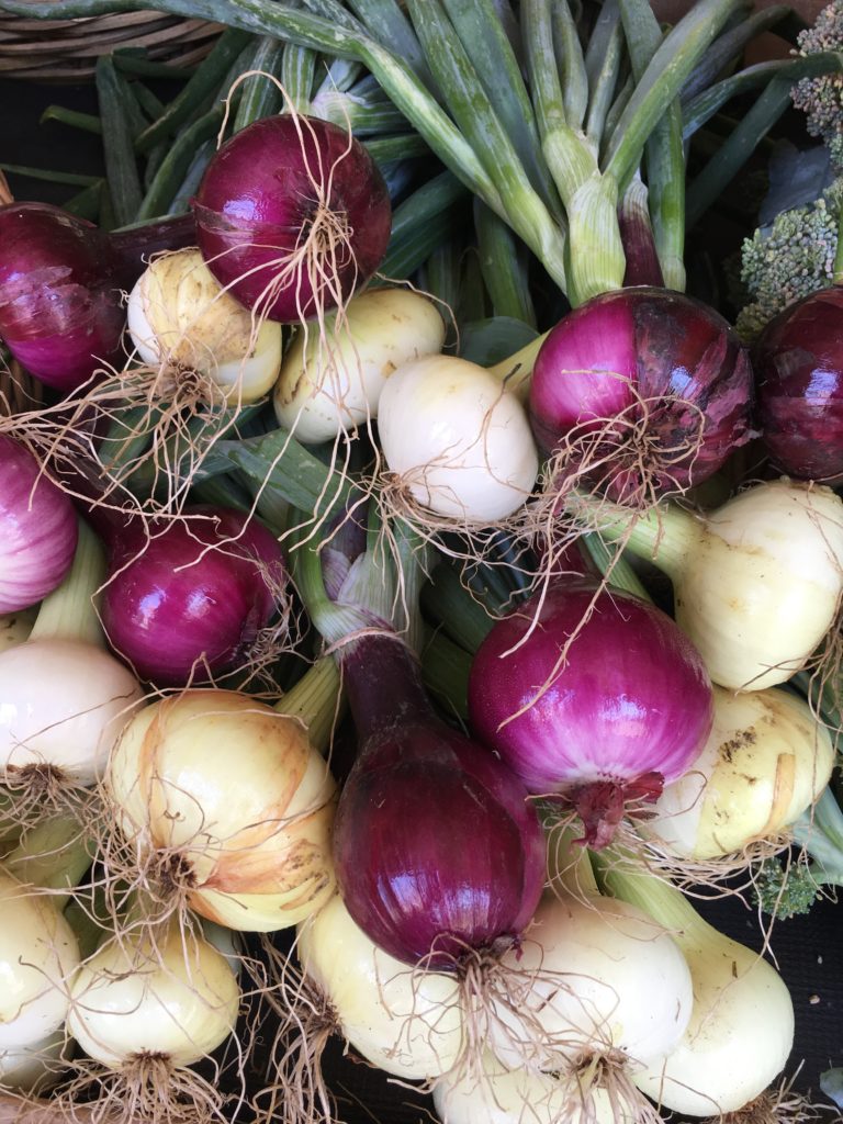 close up of shallots and onions