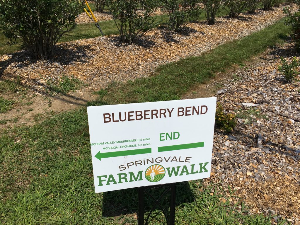 Blueberry Bend Farm walk sign