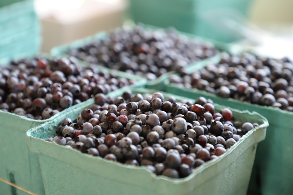 fresh blueberries in four green containers