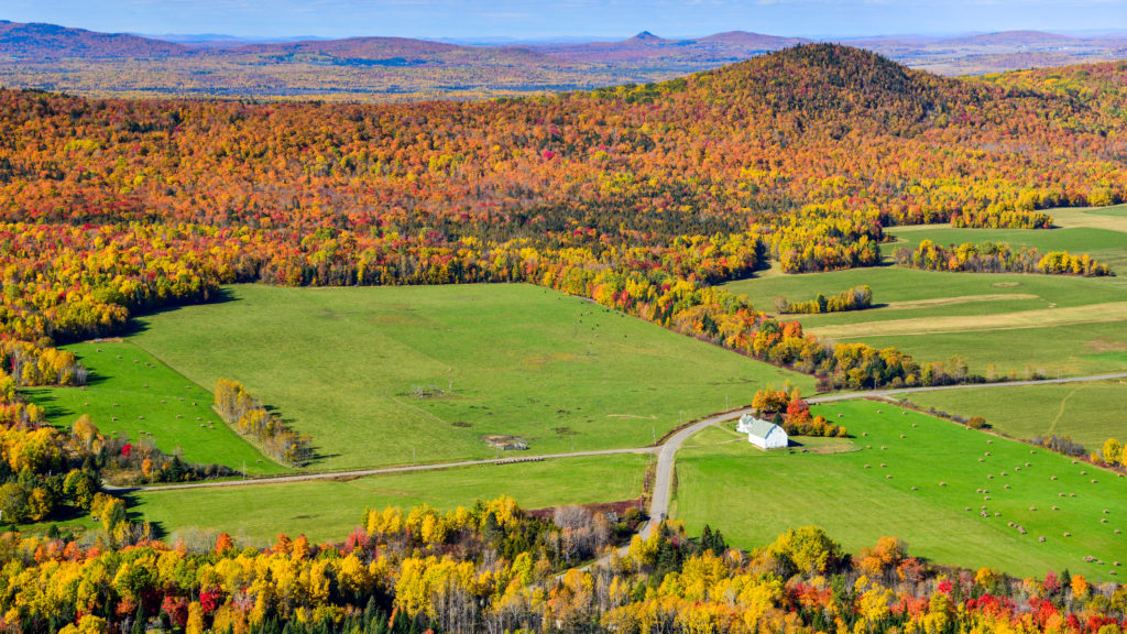 Harvest season in Maine