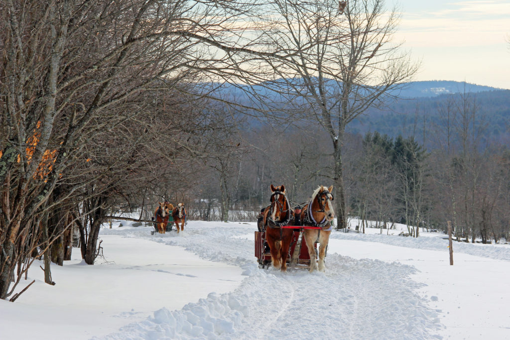 Sleigh rides are a very traditional thing to see and do in winter in Maine. 