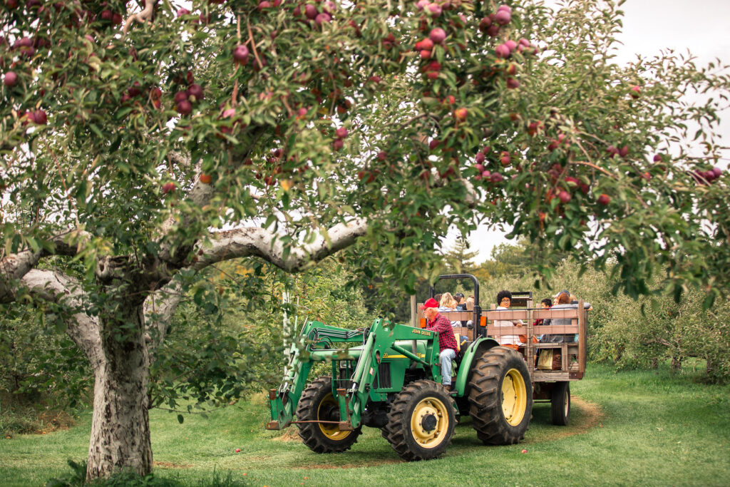 Tractor pulling a wagon full of people through the apple orchard