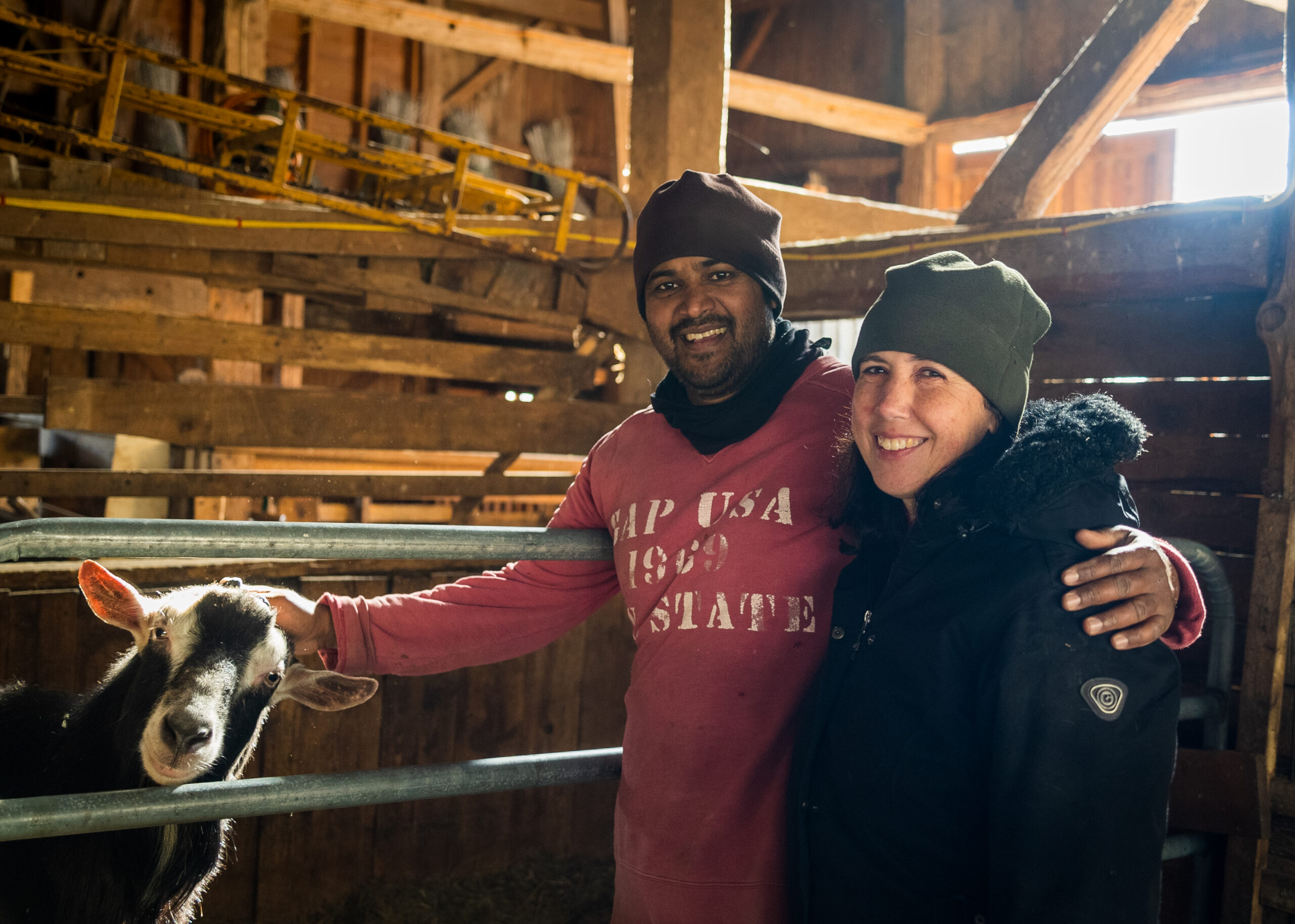 Visit A Real Maine Dairy On Open Farm Day Real Maine
